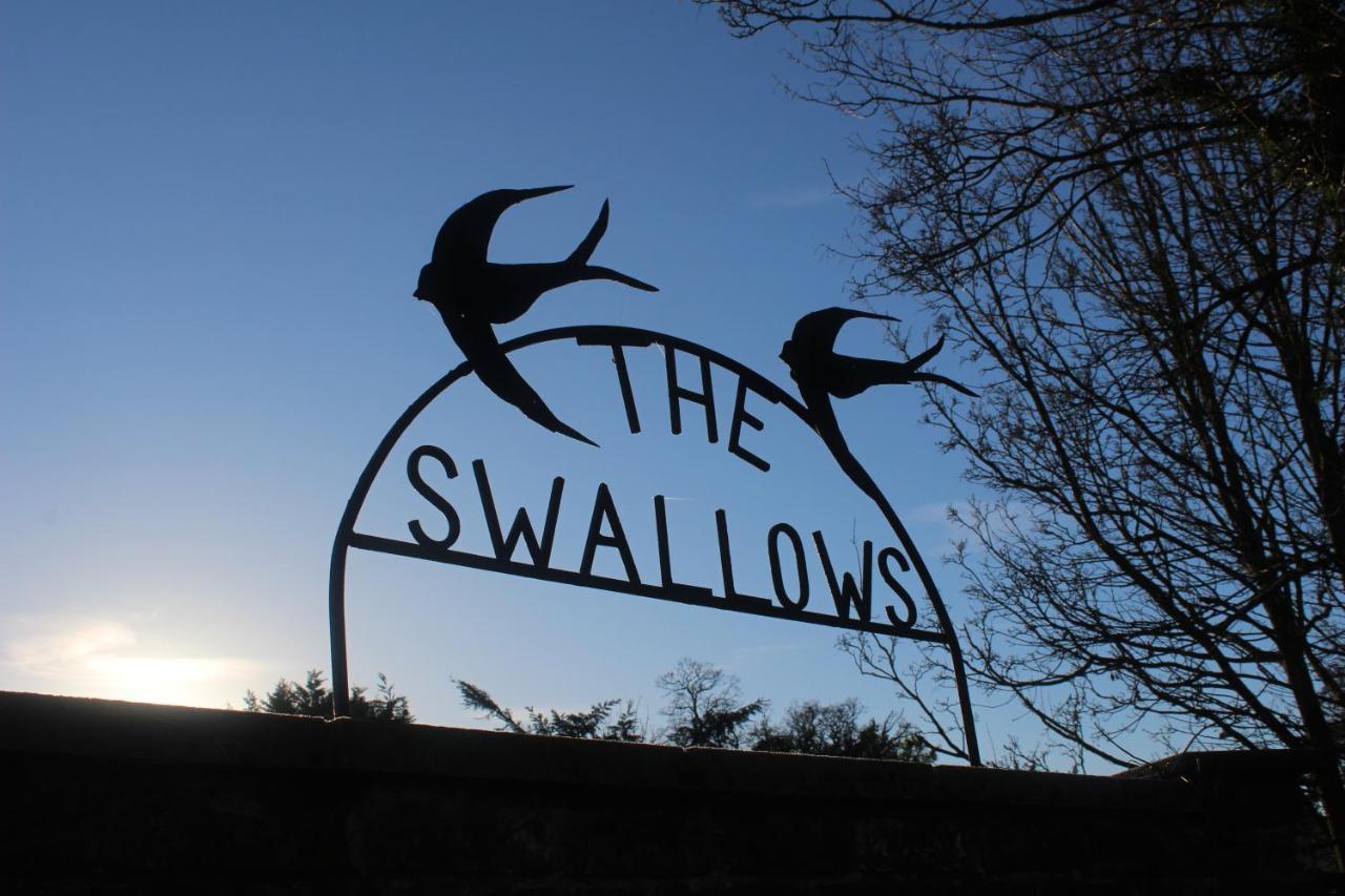 The Swallows Seend Luaran gambar